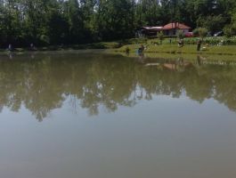 Društveno natjecanje na jezeru Plavnica ŠRD “Plavnica” Stare Plavnice održano 15.lipnja 2017.