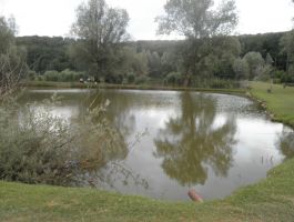 Noćni ribolov na umjetnim jezerima Gradina ŠRUOŠ “Gradina” Šandrovac održan 17.lipnja 2017.