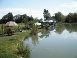 KUP SVETA ANA I KUP-LIGA ZŠRDUB JEZERO PLAVNICA ŠRD „PLAVNICA“ S. PLAVNICE ODRŽANI 30. SRPNJA 2017.