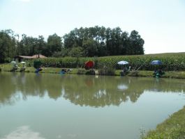 KUP SVETA ANA I KUP-LIGA ZŠRDUB JEZERO PLAVNICA ŠRD „PLAVNICA“ S. PLAVNICE ODRŽANI 30. SRPNJA 2017.