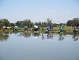 KUP SVETA ANA I KUP-LIGA ZŠRDUB JEZERO PLAVNICA ŠRD „PLAVNICA“ S. PLAVNICE ODRŽANI 30. SRPNJA 2017.