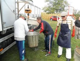 Poribljavanje 6. rujna 2017. godine