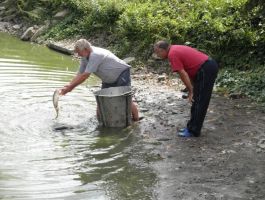 Poribljavanje 6. rujna 2017. godine