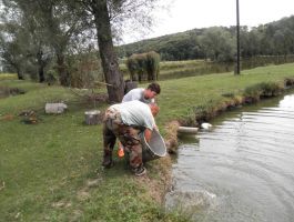 Poribljavanje 6. rujna 2017. godine