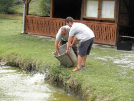 Poribljavanje 6. rujna 2017. godine