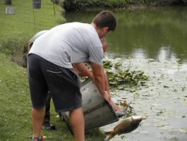 Poribljavanje 6. rujna 2017. godine