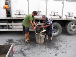 Poribljavanje 6. rujna 2017. godine