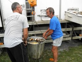 Poribljavanje 6. rujna 2017. godine