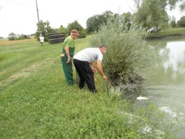 Poribljavanje 6. rujna 2017. godine