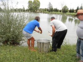 Poribljavanje 6. rujna 2017. godine