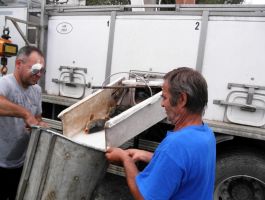 Poribljavanje 6. rujna 2017. godine