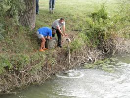 Poribljavanje 6. rujna 2017. godine