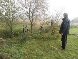 Uređivanje okoliša na umjetnom jezeru Plavnica ŠRD “Plavnica” Stare Plavnice 4. studenoga 2017.