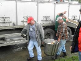 Poribljavanje 27. rujna 2017. godine