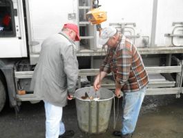 Poribljavanje 27. rujna 2017. godine