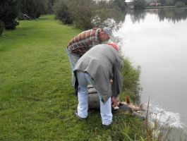 Poribljavanje 27. rujna 2017. godine