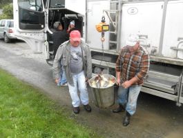 Poribljavanje 27. rujna 2017. godine