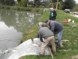 Poribljavanje 27. rujna 2017. godine