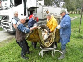 Poribljavanje 27. rujna 2017. godine