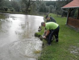 Poribljavanje 27. rujna 2017. godine