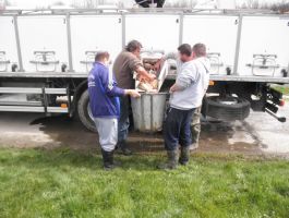 Poribljavanje 4. travnja 2018. godine