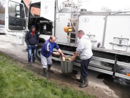 Poribljavanje 4. travnja 2018. godine