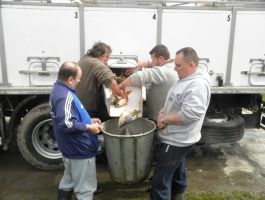 Poribljavanje 4. travnja 2018. godine