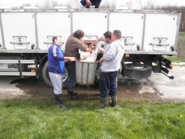 Poribljavanje 4. travnja 2018. godine