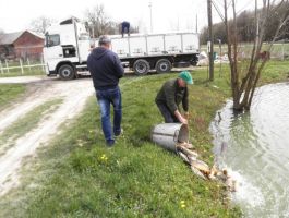 Poribljavanje 4. travnja 2018. godine