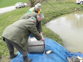 Poribljavanje 4. travnja 2018. godine