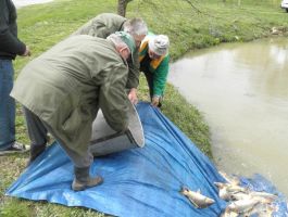 Poribljavanje 4. travnja 2018. godine