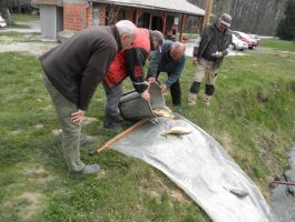 Poribljavanje 4. travnja 2018. godine