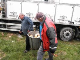 Poribljavanje 4. travnja 2018. godine