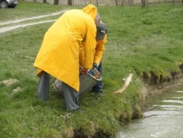 Poribljavanje 4. travnja 2018. godine