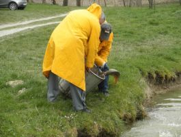Poribljavanje 4. travnja 2018. godine
