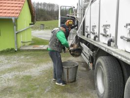 Poribljavanje 4. travnja 2018. godine