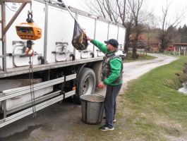 Poribljavanje 4. travnja 2018. godine