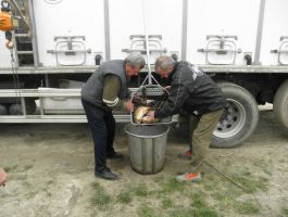 Poribljavanje 4. travnja 2018. godine