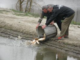 Poribljavanje 4. travnja 2018. godine