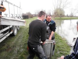 Poribljavanje 4. travnja 2018. godine