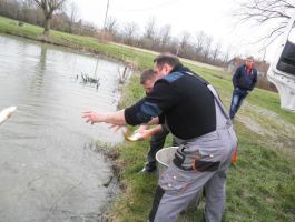 Poribljavanje 4. travnja 2018. godine