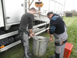 Poribljavanje 4. travnja 2018. godine