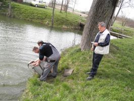 Poribljavanje 4. travnja 2018. godine