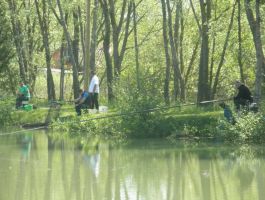 Natjecanje Kup - liga ZŠRDUB i Kup “Bjelovacka” T. Markovac održani 22. travnja 2018. godine