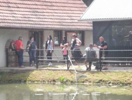 Natjecanja, ribolov i proslava 1. svibnja 2018. godine