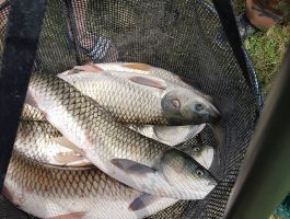 Natjecanja, ribolov i proslava 1. svibnja 2018. godine