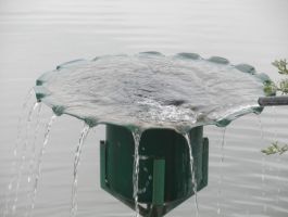 Ribolov i proslava 1. svibnja 2018. godine