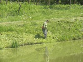 SRD “Česma” Bjelovar - košnja trave oko jezera Vujčevac 20 .travnja 2018. godine