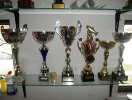 Društveno natjecanje ribiča i članova ŠRUOŠ “Gradina” Šandrovac održano 21. listopada 2018. godine