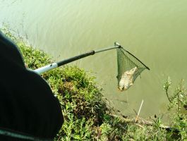 Ribolov i proslava 1. svibnja 2019. godine na jezeru Gemajda Rajić